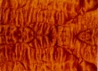 image082