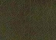 image828