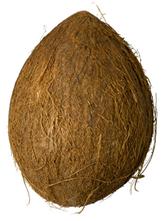 Kookospähkel